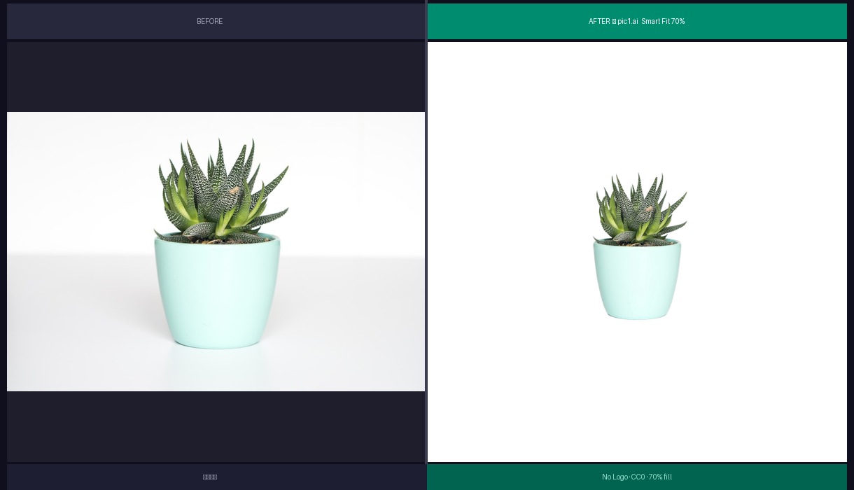 Succulent Plant — Before and After AI Background Removal